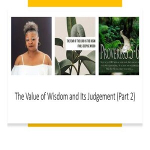 The Value of Wisdom and Its Judgment (2)