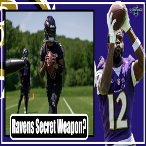 SURPRISING NEWS on Baltimore Ravens!