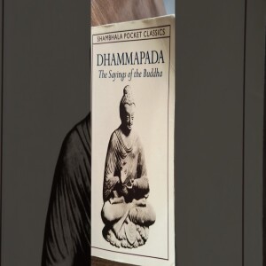 sayings of the Buddha - what is the body? 22 June 2025 #awareness #awakening