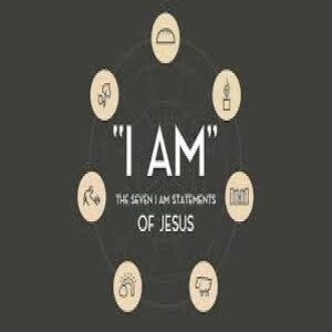 I Am The Door: The Promise of Abundant Life
