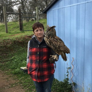 Story 1: Mother of Falcons