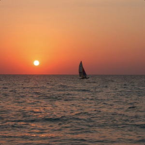 Navigating - Story 4: A Speck in the Ocean