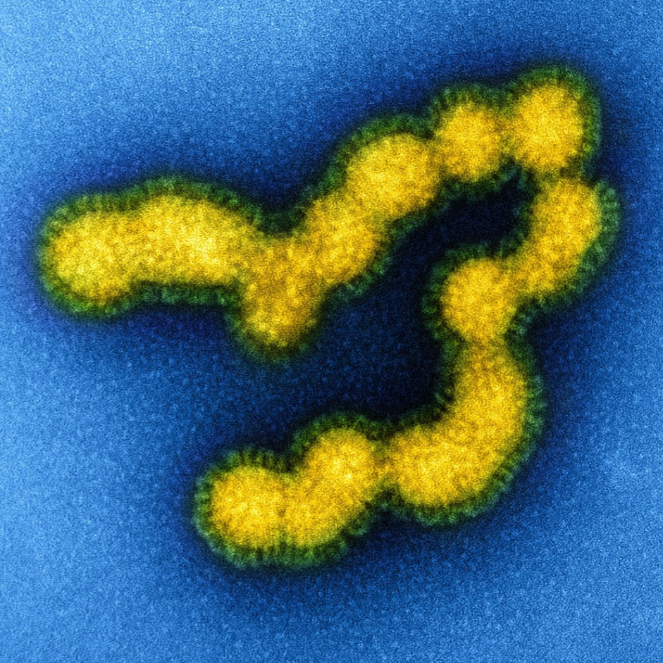 Speculation: Story 2 - Vanquishing Vaccines