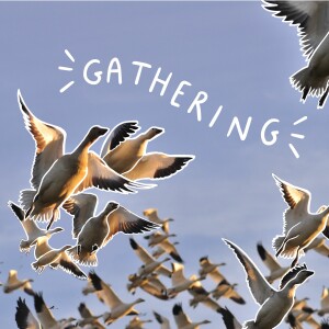 Gathering