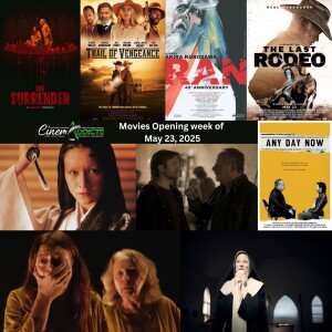 Reviews: The New Boy, The Last Rodeo, The Surrender, Ran, Trail of Vengeance
