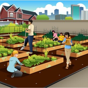 Urban Agriculture and the Green Bronx Machine