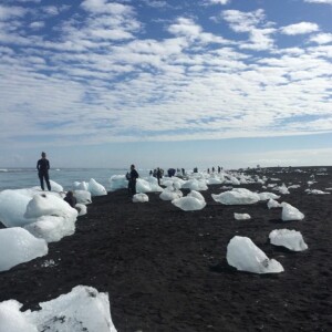 Iceland’s Concealed Conservationists (V2-SSP 23min)