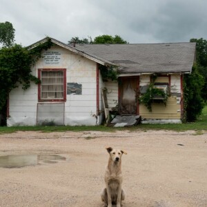 Sandbranch: a Deep-rooted Community Fights for Water