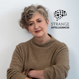 The Intelligence of Wool with Liz Mitchell MNZM