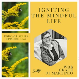 Episode: 001 Igniting the Mindful Life