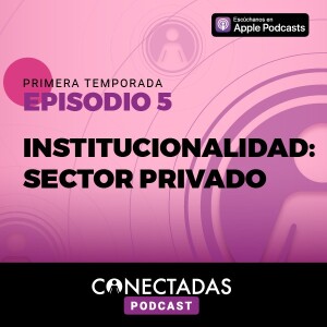 Institucionalidad: sector privado