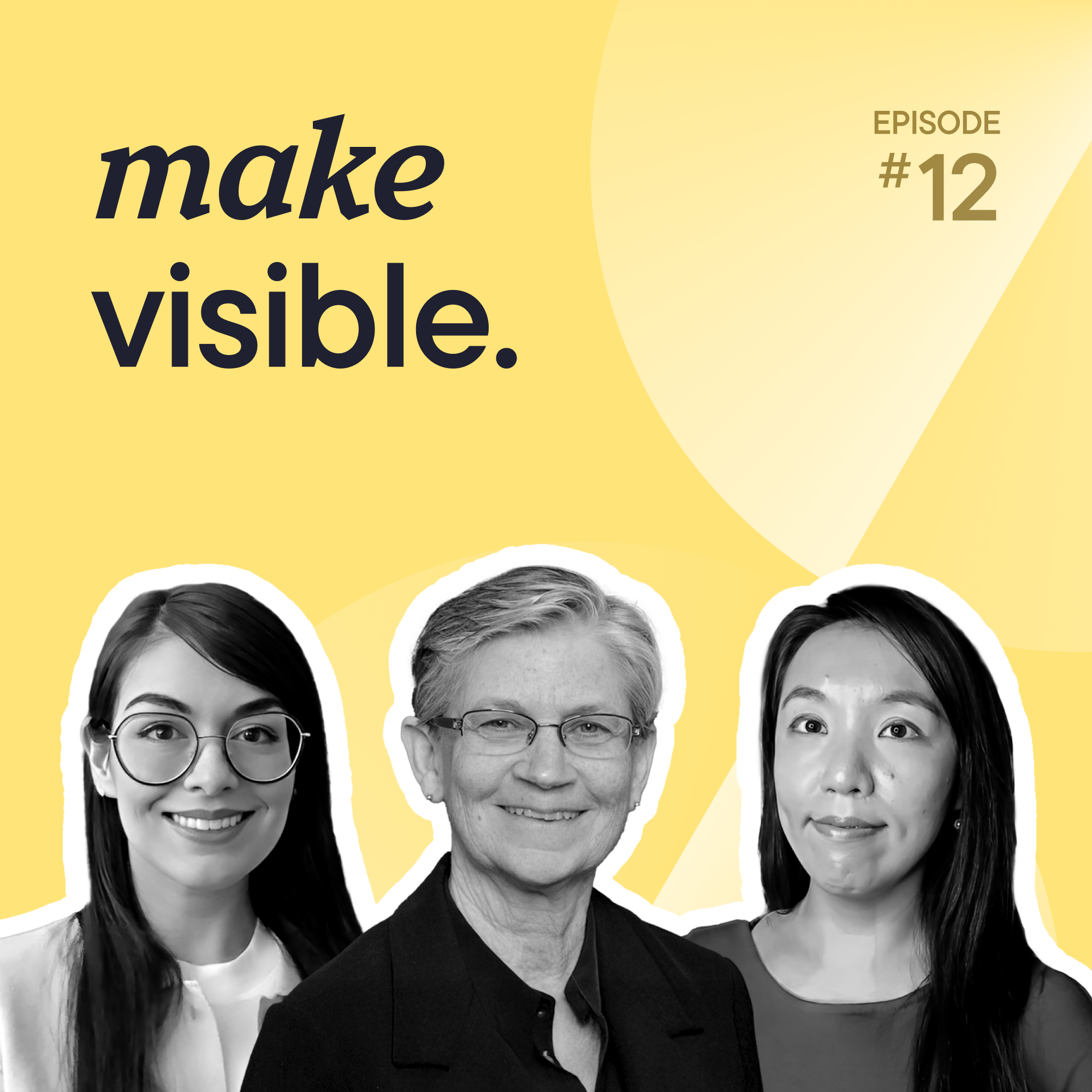 Make Visible: Understanding Complex Illness