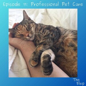 Episode 11: Professional Pet Care