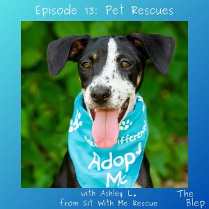 Episode 13: Pet Rescues