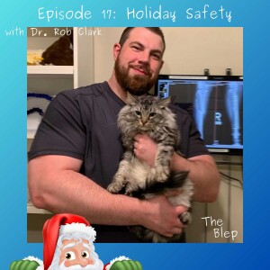 Episode 17: Holiday Safety