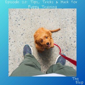 Episode 20: Tips, Tricks & Hacks for Puppy Training