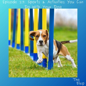 Episode 23: Sports & Activities You Can Do With Your Dog