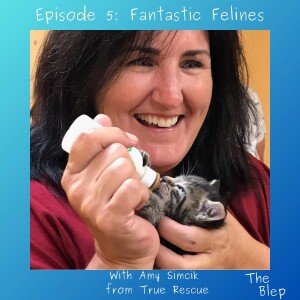 Episode 5: Fantastic Felines