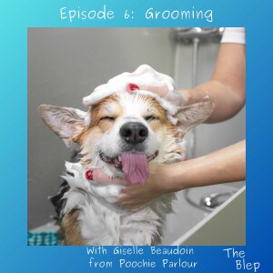 Episode 6: Grooming