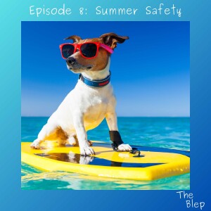 Episode 8: Summer Safety