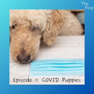 Episode 1: Covid Puppies & Heart Warming Stories