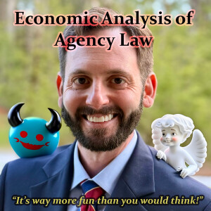 Economic Analysis of Agency Law – Episode 8: Entrepreneurial Agency (Navigating Risk and Uncertainty)