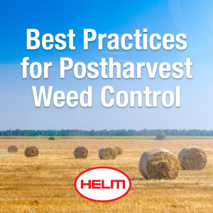 Best Practices for Postharvest Weed Control