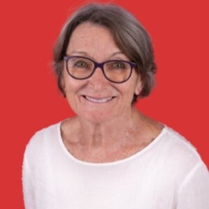 Gillian Boyd, Shoalhaven Labor, Ward 3