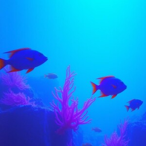 101 - Dive Sensation