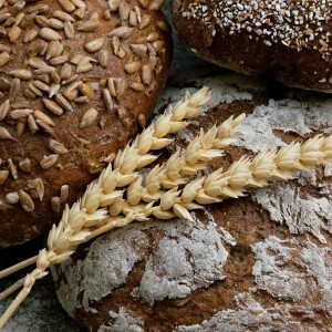 "Five Loaves to Abundance" - 17th Sunday Homily