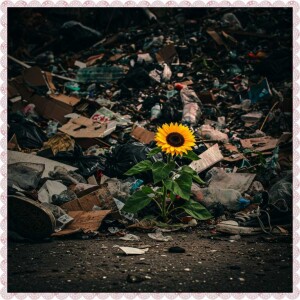 05/15/25 Beauty In Unlikely Places