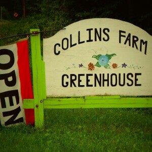 Growing Together: Community and Crops at Collins Family Farm
