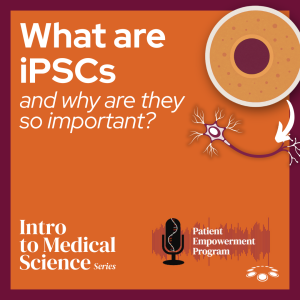 What Are iPSCs—and Why Do They Matter?