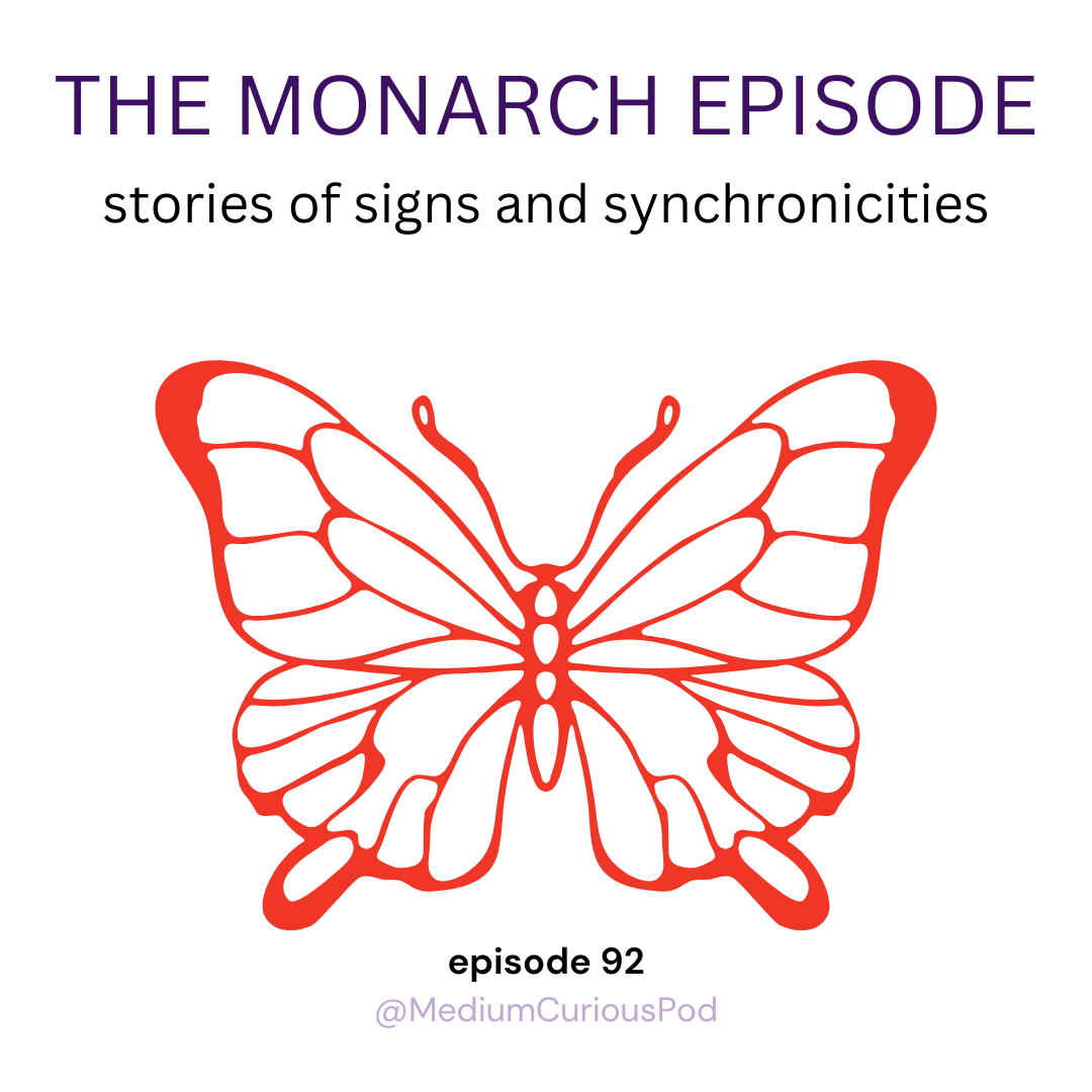 Spirit is Fancy: Real Signs, Synchronicities & Messages from Loved Ones in Spirit (Monarch Vol. 4) Spirit is Fancy: Real Signs, Synchronicities & Messages from Loved Ones in Spirit (Monarch Vol. 4)