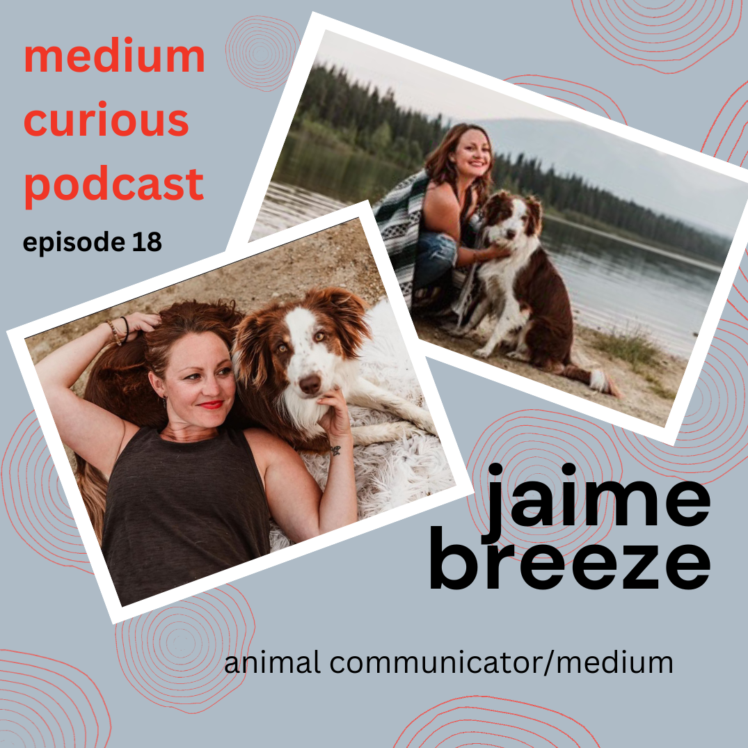 Medium Curious