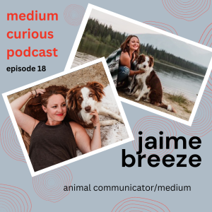 MEDIUM Pets - Guest Jaime Breeze on pet communication and reincarnation!