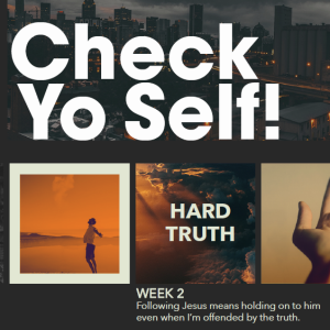 Check Yo Self #2 - Hard Truth