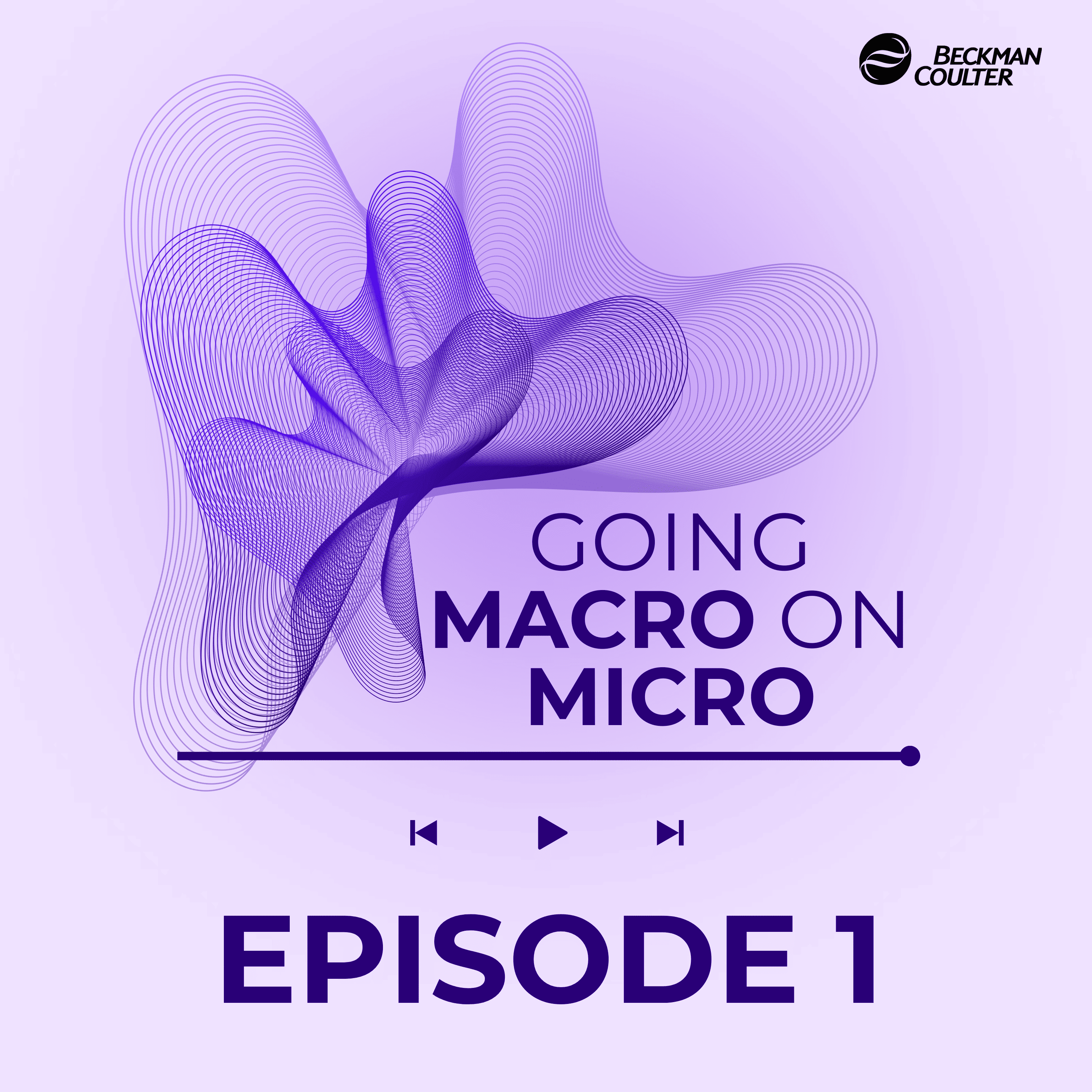 Going Macro on Micro