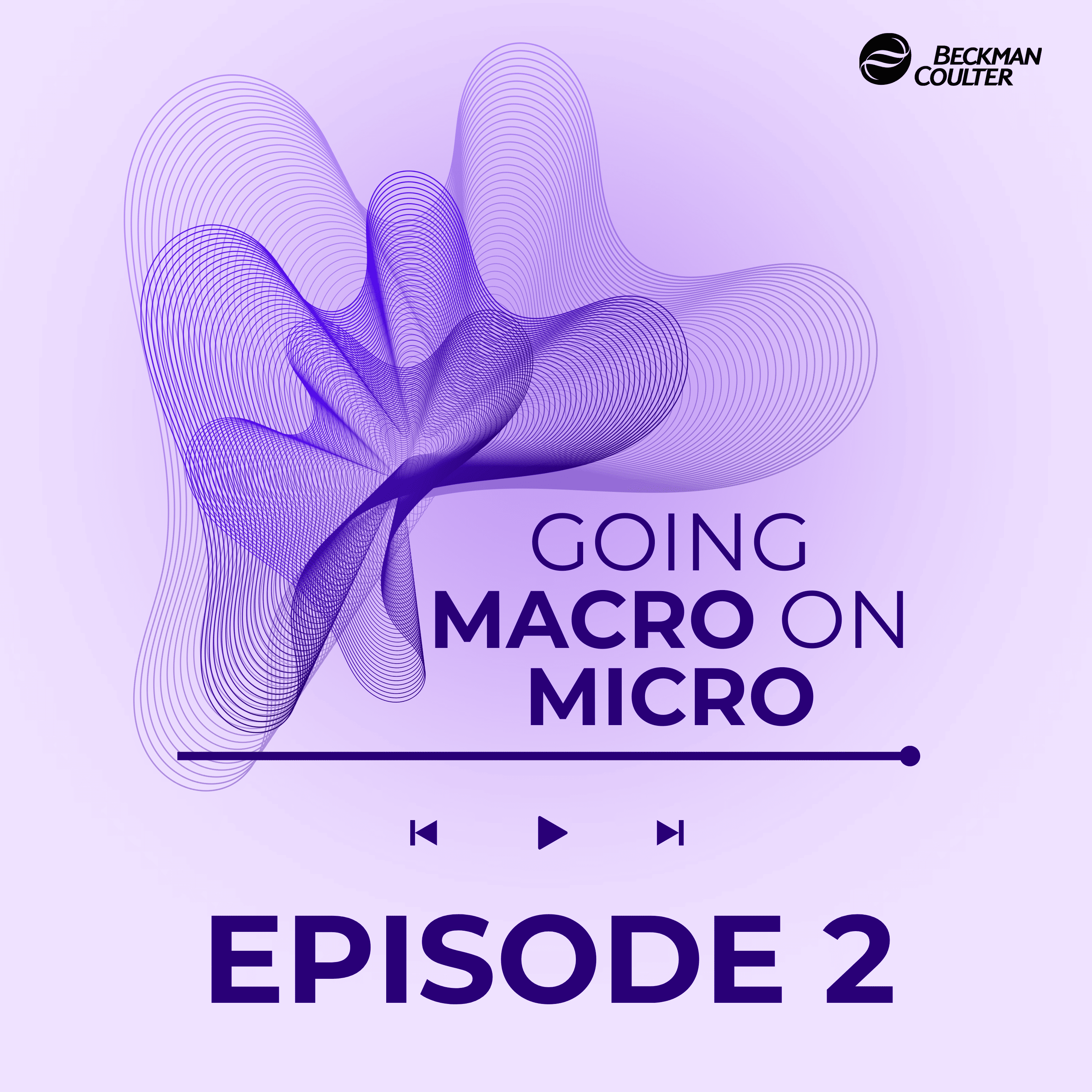 Going Macro on Micro