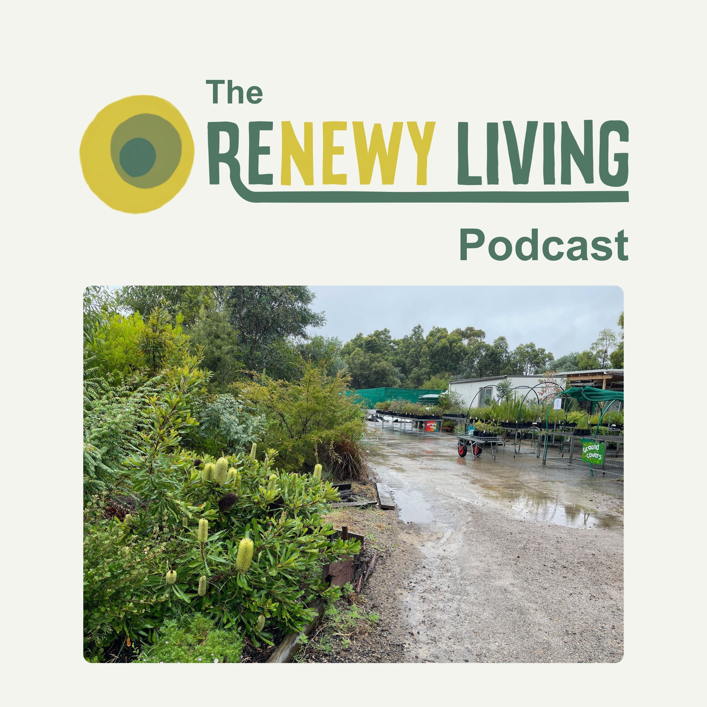 The ReNewy Living Podcast: A Sustainable Living Podcast