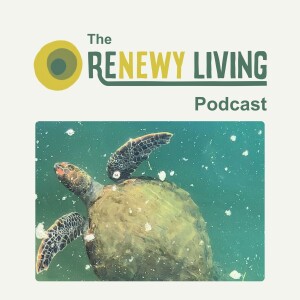 22. What's Threatening Lake Macquarie's Green Sea Turtles?