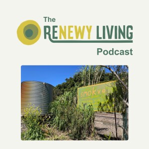 4. How Smokva Community Garden Cultivates Connection & Growth