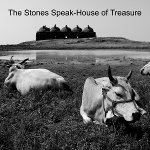 The Stones Speak-House of Treasure