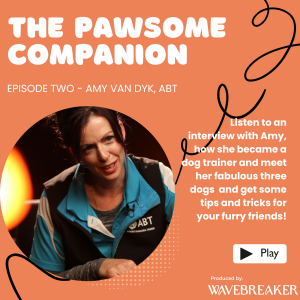 Pawsome Training Tips with Amy Van Dyk & her furry friends