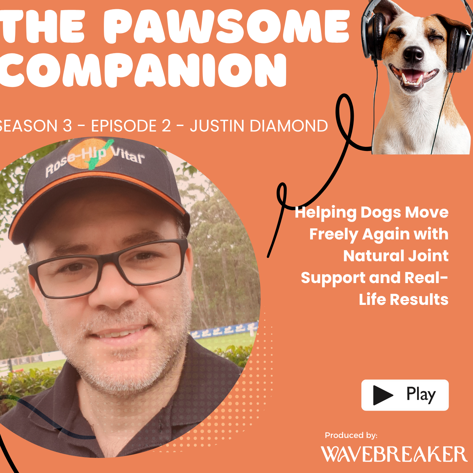 The Pawsome Companion
