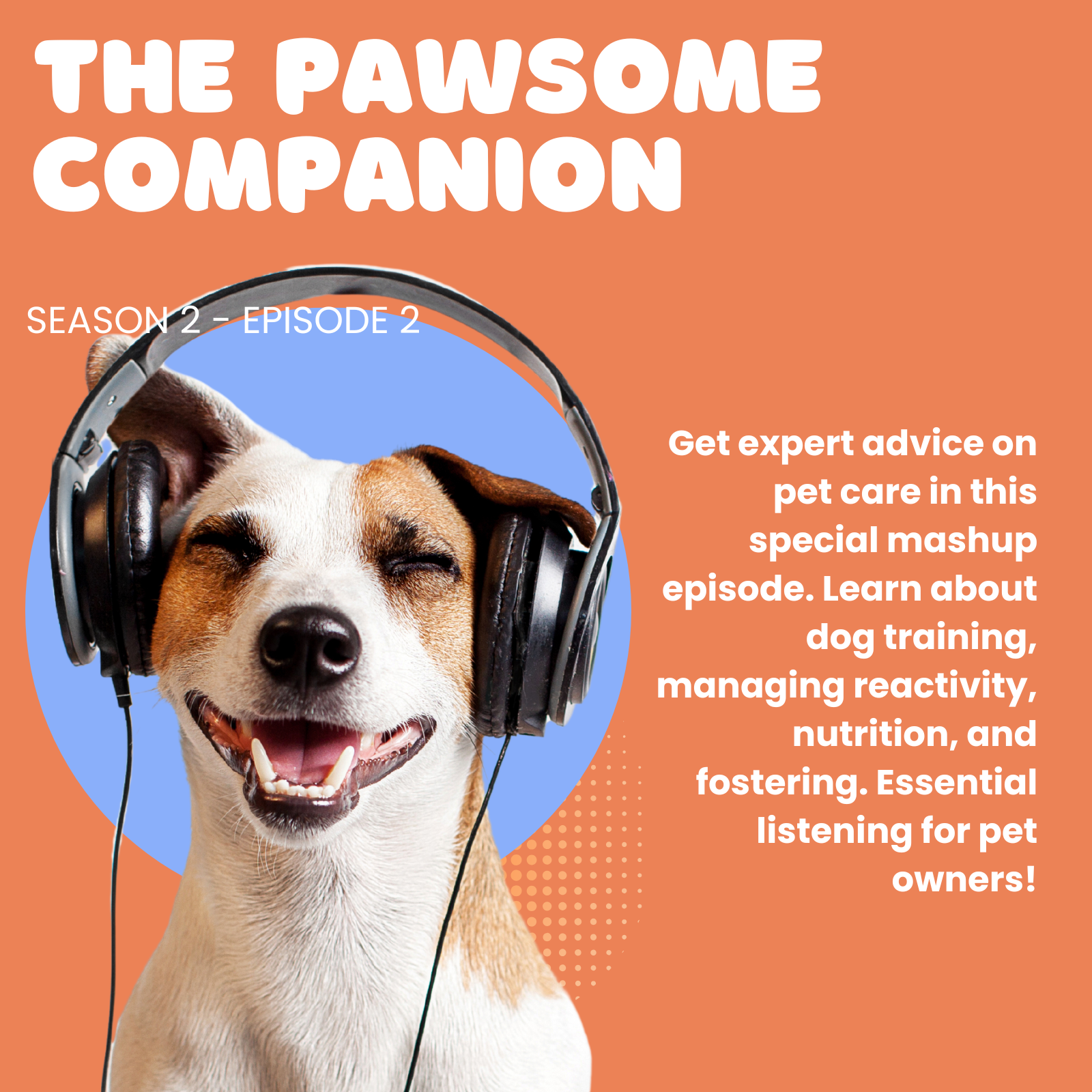 The Pawsome Companion
