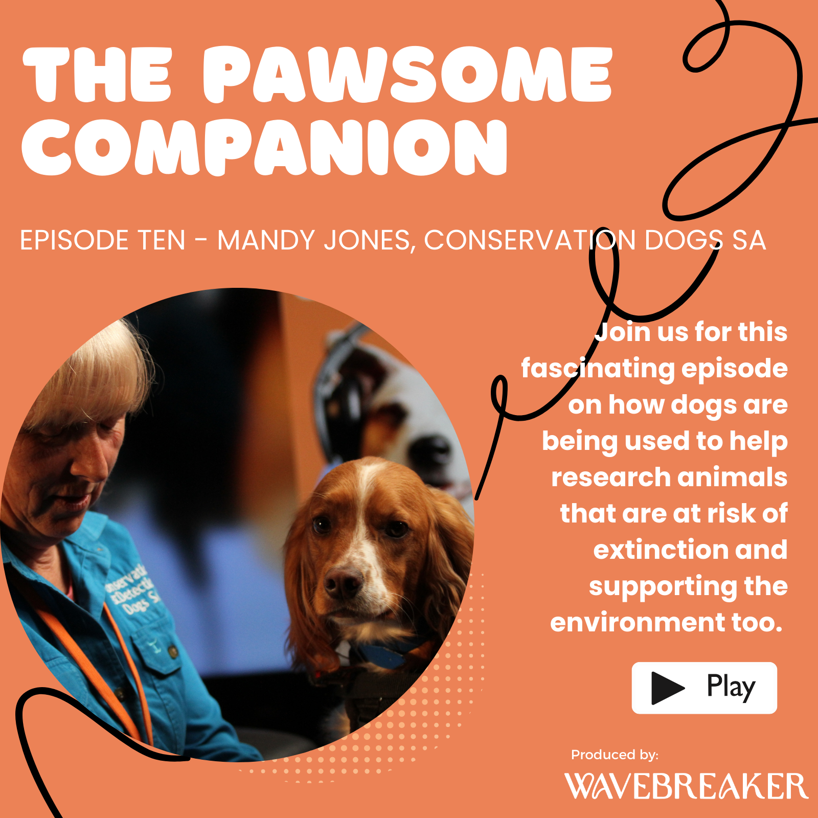 The Pawsome Companion