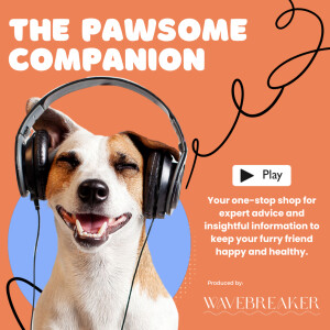 Unleashing the Fun: A sneak peek at the Pawsome Companion