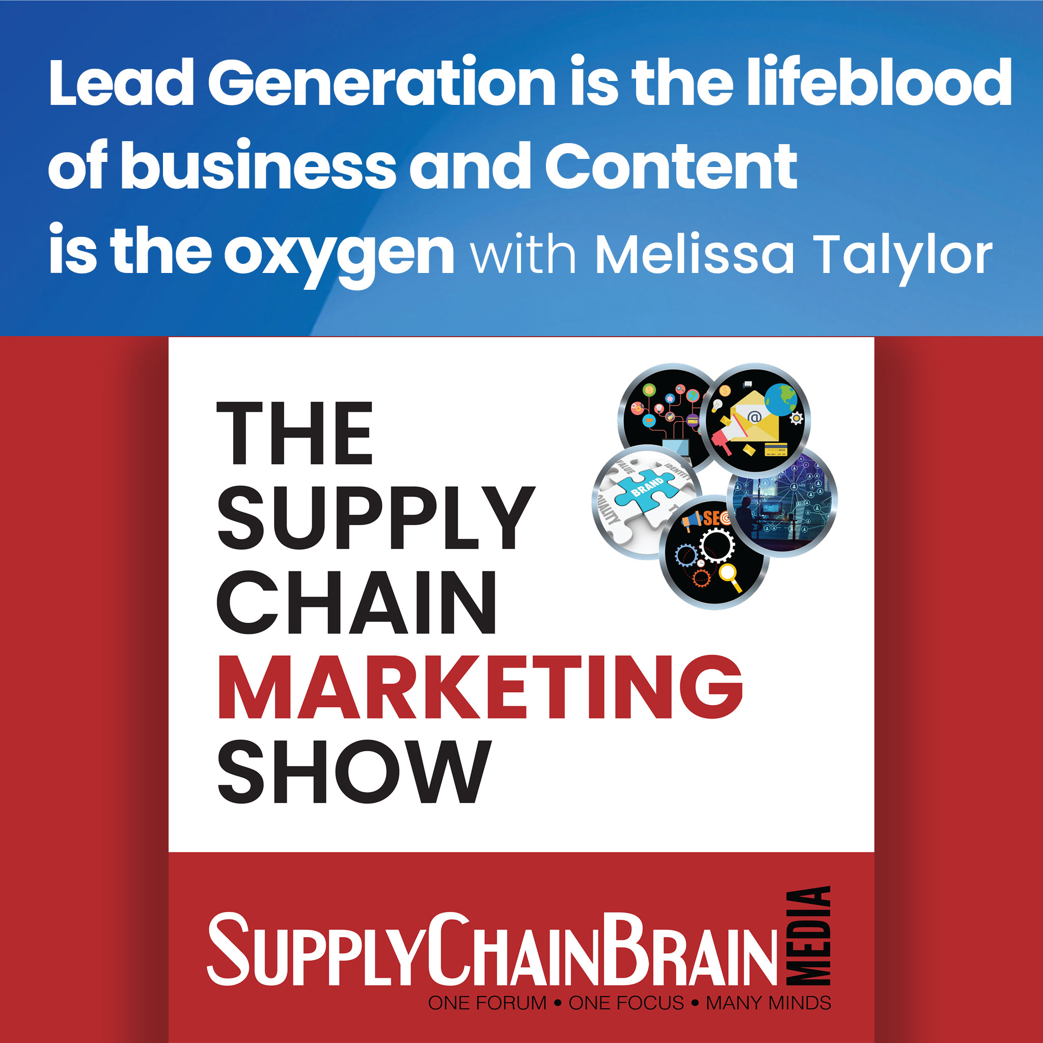The Supply Chain Marketing Show