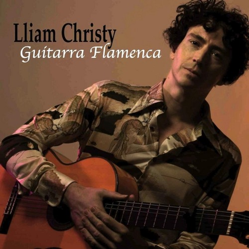 Guitarist, Songwriter, Producer